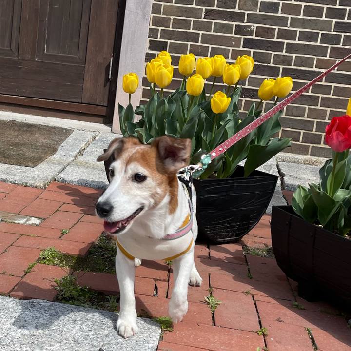 6a72540a e979 41f5 a606 bbfd06a870ef 1619182179340