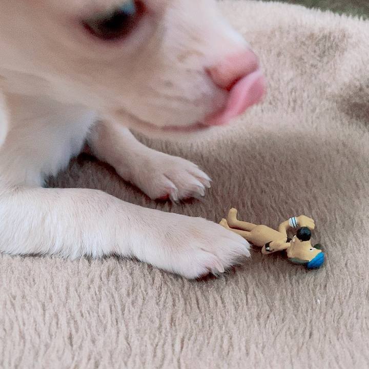 6a725992 c0c3 4a70 9720 b5e4923d7e20 1594181947204