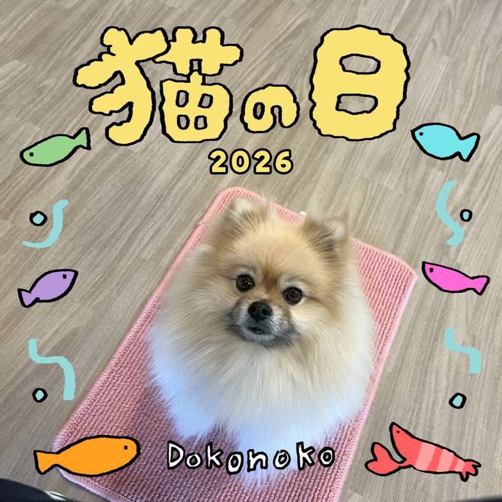 6a726da1 68e7 430d b550 ce1acb0633c7 1771711684456