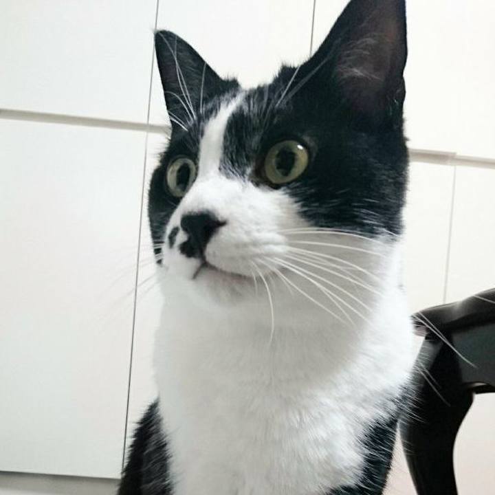 6a728599 3730 44d1 88ea 60eb05334873 1528907137608