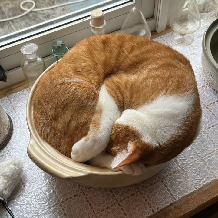 6a728ad7 a4a8 4482 8abb b6fe62c12f56 1698895296297