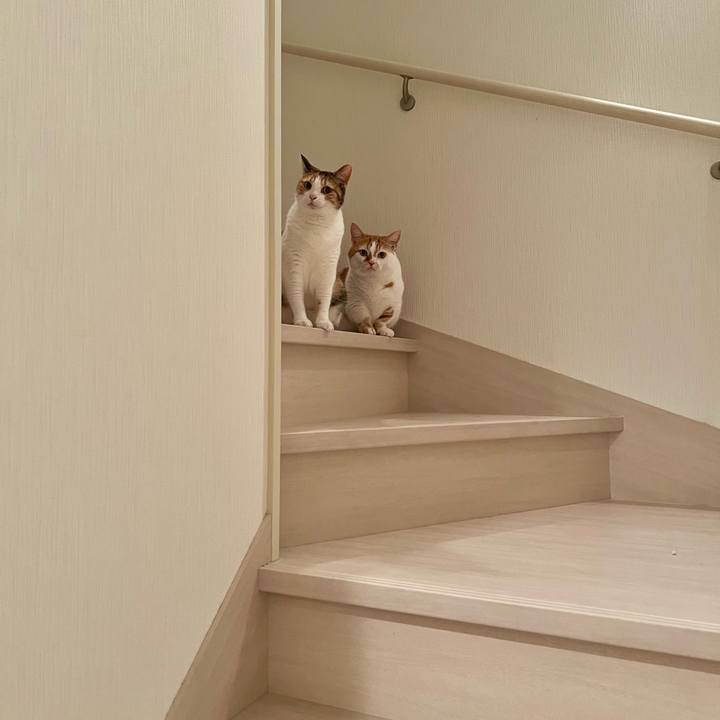 6a728f4c e203 4cb8 8cb6 d3dd16fb156a 1757042593014