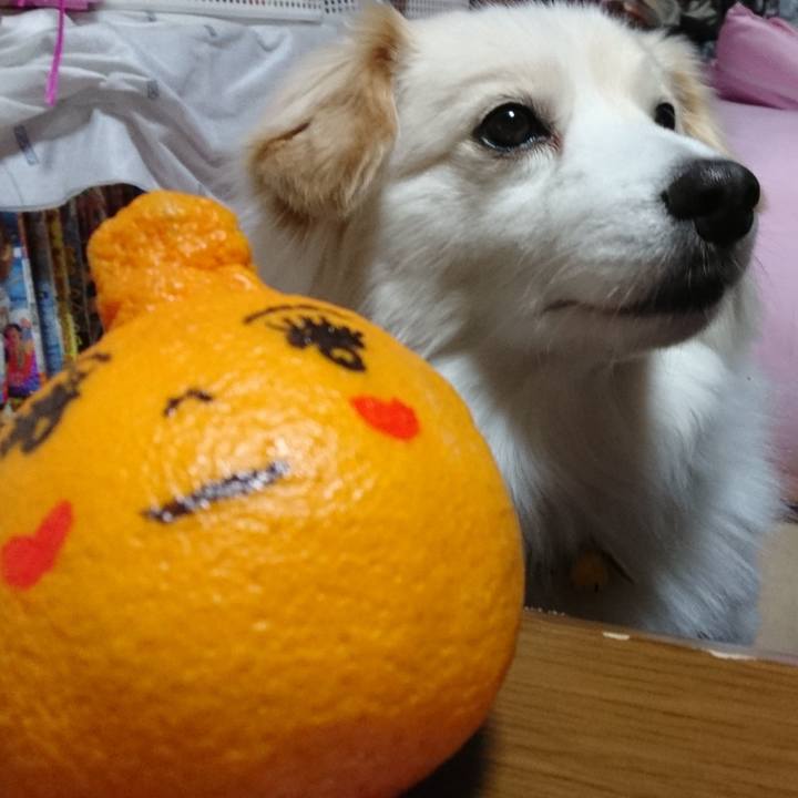 6a728f95 77b5 42a2 8b45 3493c8091153 1520852009480