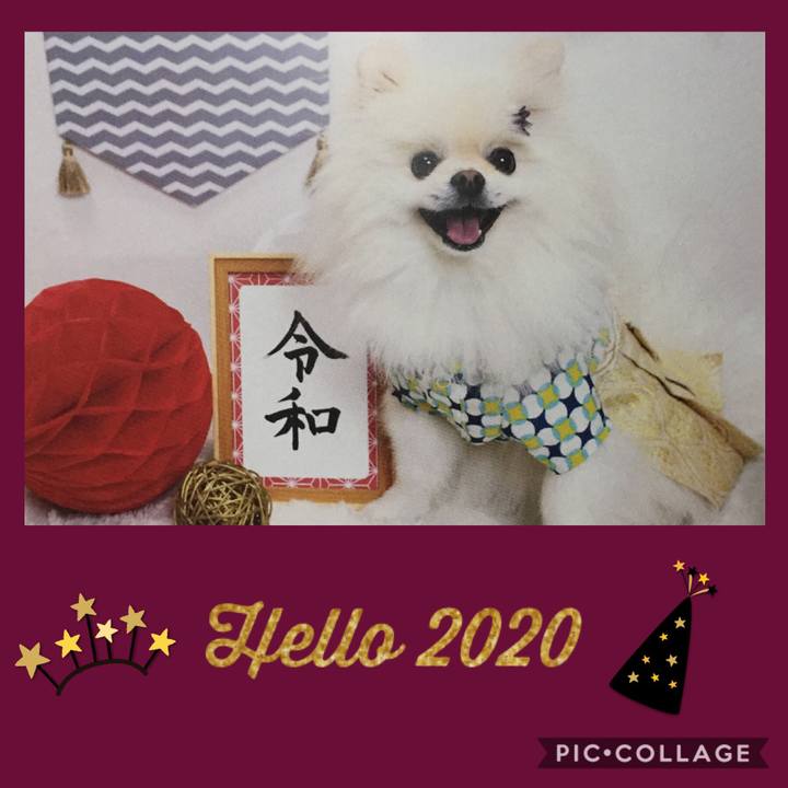 6a72b549 ec98 47e2 ae04 a5857e6e5390 1577804410234