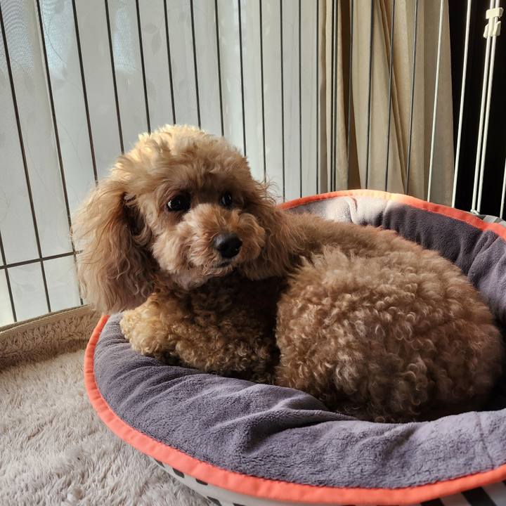 6a72c147 58bc 4852 9904 8d7e5d3a55de 1761866626962