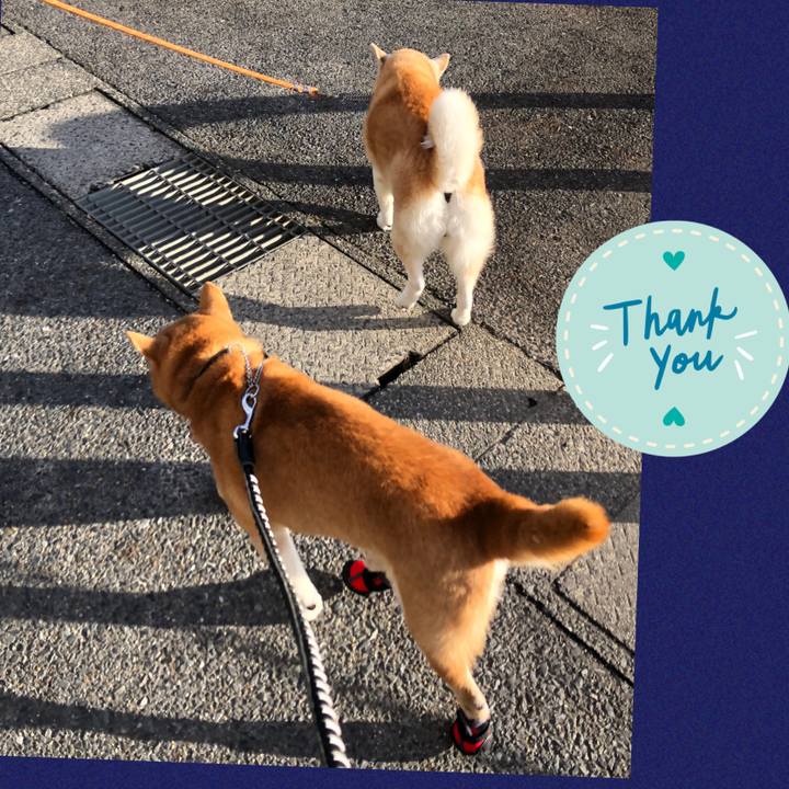 6a72d48e aad6 4d3a ae03 e8b6a26a597c 1577792072612