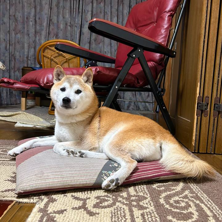 6a72de4e 7d0b 4fd1 abed 5f939fadca24 1758364734422