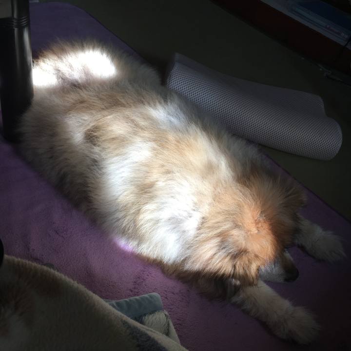 6a72f29c 516e 4749 83d2 75cd163efe51 1606957752522