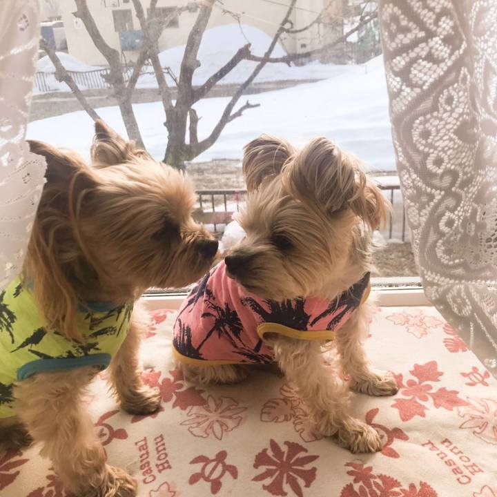 6a72f789 e178 4677 8540 f577d7f60fb8 1554009279769