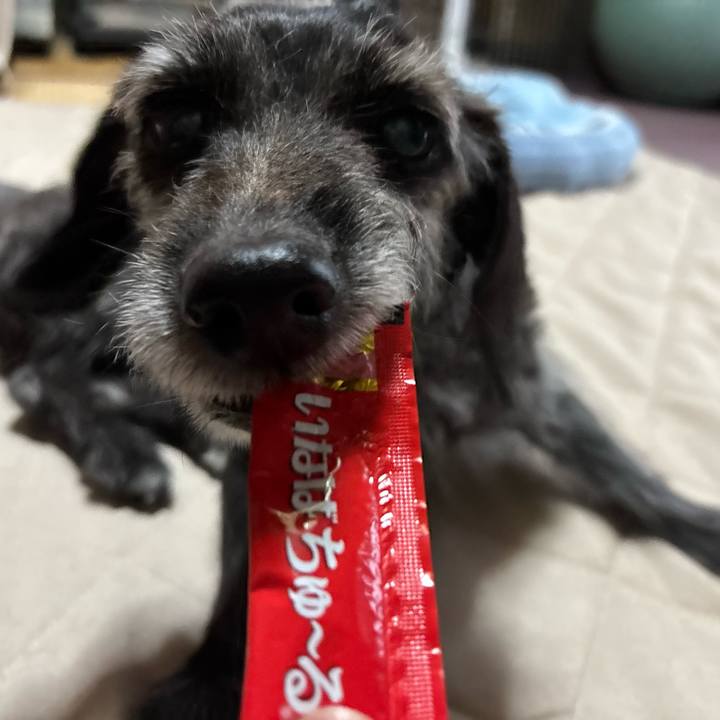 6a733702 001a 4d41 9526 603393922e37 1759361278492