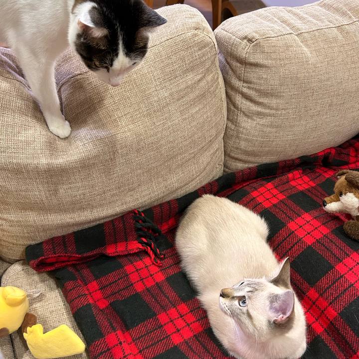 6a737376 a280 4d08 a8d9 19e212044fdd 1730896844687