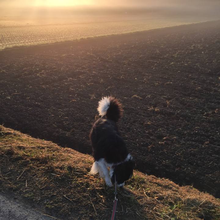 6a737c2b 0c84 446f 8450 29ac66db2c87 1573601344963