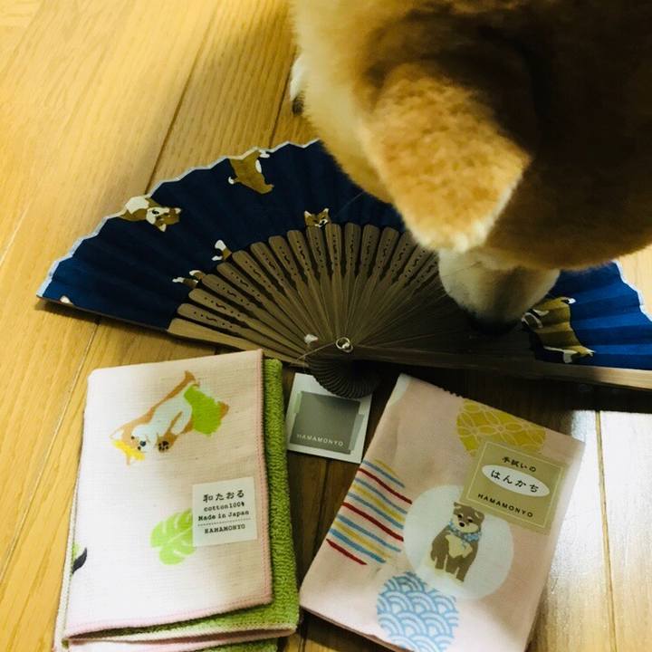 6a738c62 8594 49bb bc0b cb551dd6e5ab 1528762142470