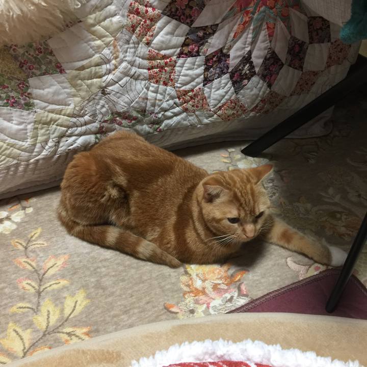 6a7398ff 5420 42d4 b1e6 3cdbf180d2f5 1513287288346