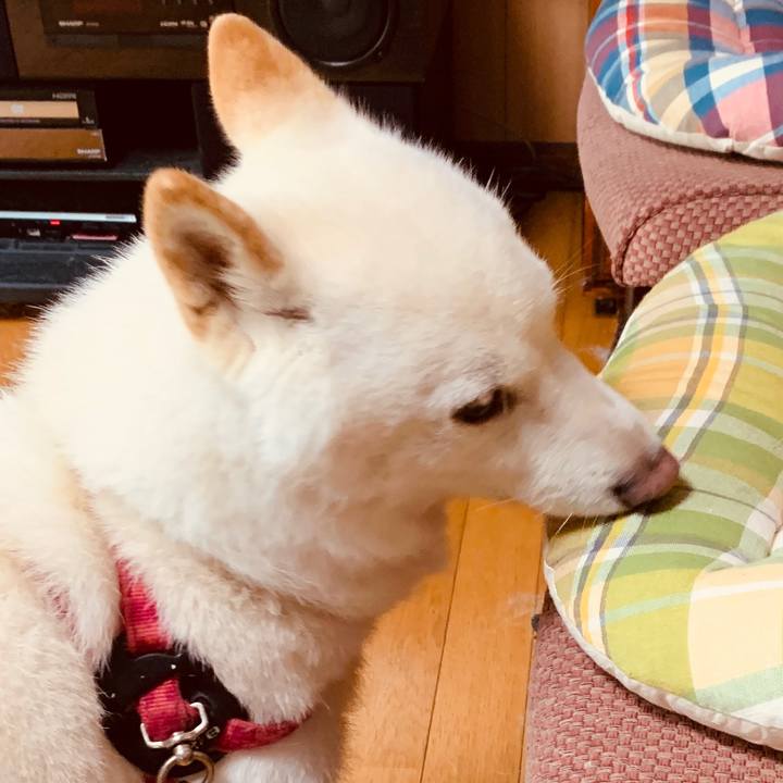 6a73a492 3a8d 41a8 96c7 7caeb4f7d714 1565218414617