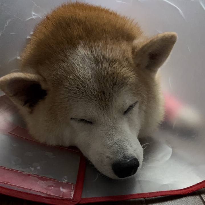 6a73ab5a 375d 42d2 8f2b 55c9137125eb 1756242801685