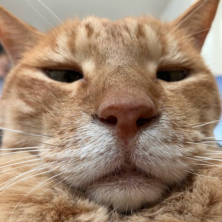 6a73b690 9960 4506 a02e ef4af41f1873 1759386039573