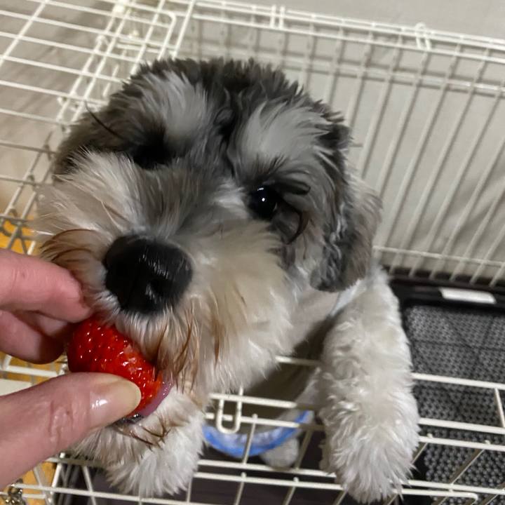 6a73f55a 3b52 493b aa74 eada38312b13 1581777012778