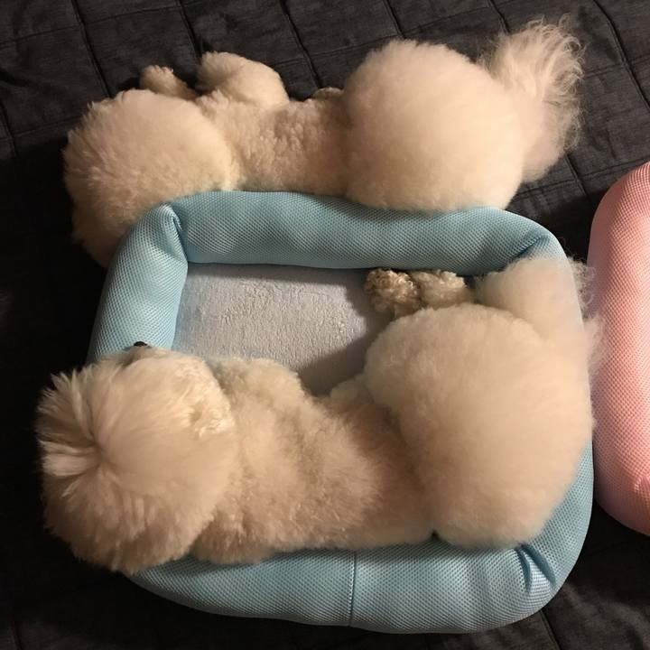 6a74348c 083c 4f1a 97e0 89a9fa8e6576 1526994283902