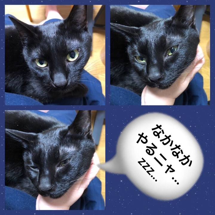 6a744cca 03c8 48c6 8d0c 99393c165735 1708686218035