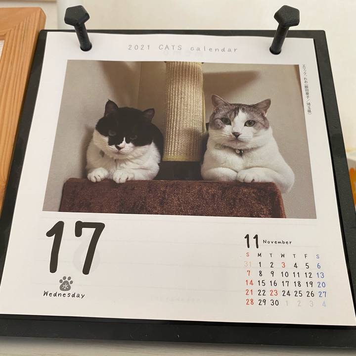 6a745ef1 1606 4f4c 89d2 b28ca32c9a23 1637104607540