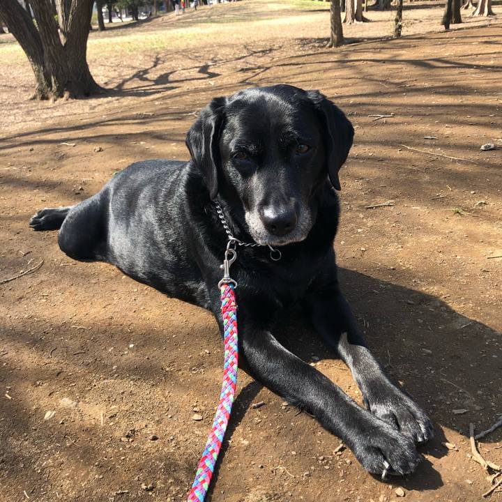 6a7488e9 b5fd 48ec 88b9 b46b6a93a33f 1553044950130