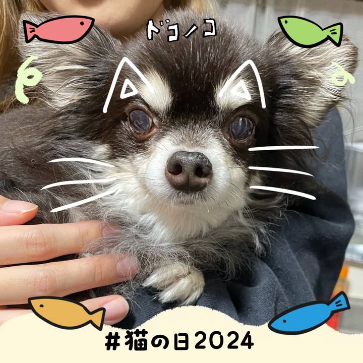 6a748923 d250 4776 bda2 04cc8e6f47d6 1708563469659