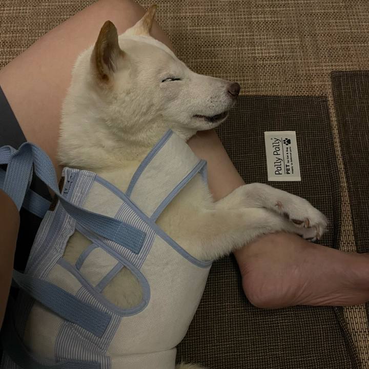 6a74c128 8205 40ce 8365 74337537514a 1660750669900