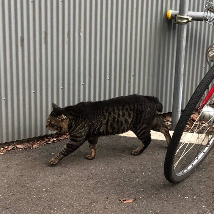 6a75015b 5495 4cf8 a26b bc8971bbe6da 1521795925647