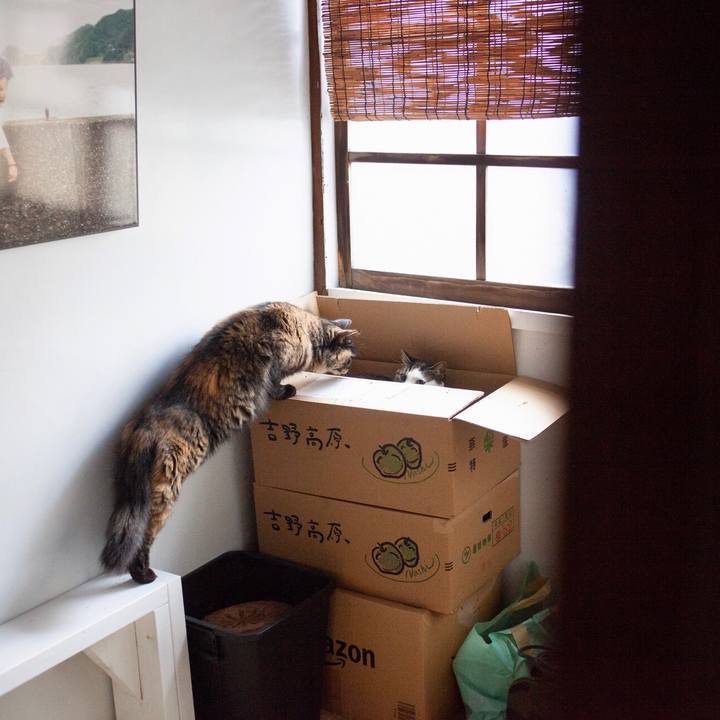 6a75047a 2266 427f b71f 66d7de359d26 1580010734802