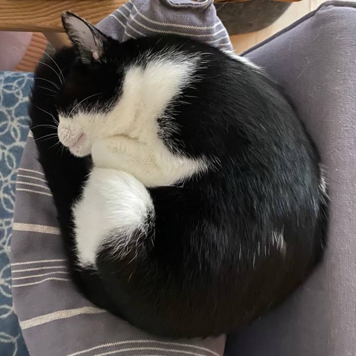 6a7534f5 fbc2 4d32 a85c 245d28638680 1716097507766