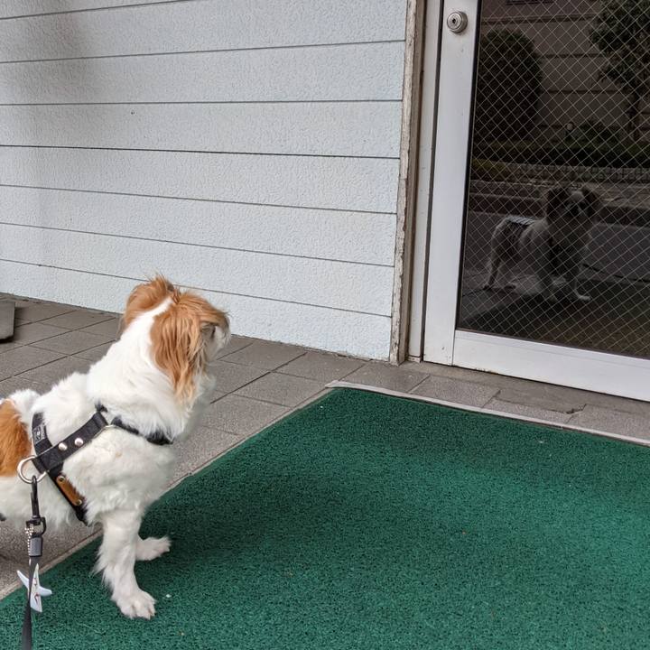 6a757487 2cb7 4f7b 99e5 49a9ef3e1164 1624842383754