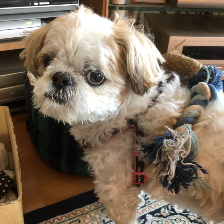 6a75c69f 96dc 4197 b3ea d1f5d0a74ec6 1619732958520