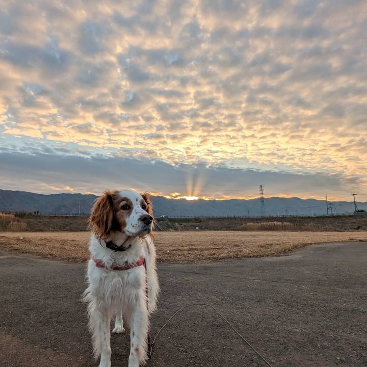 6a75d829 db9b 47d3 814f 31c543fe1991 1672831054139