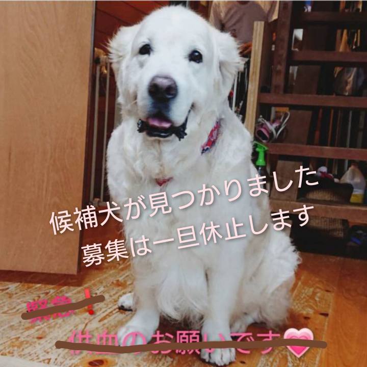 6a75dcbf 4fea 4739 8056 2d4a97e09e90 1612130858062