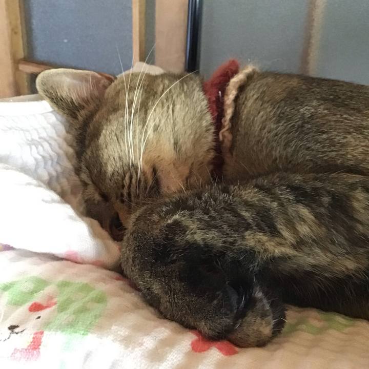 6a767b99 fefd 49a7 9234 bc0af8ae7626 1631759731243