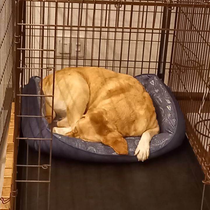 6a768b15 a9d5 4b4b 8915 a47b581eeef8 1600341493426