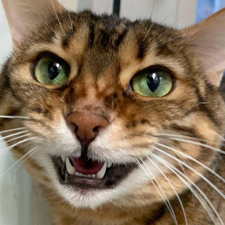 6a76e3e1 ac30 4ad6 bc85 cb83b2a8e60a 1618785254427