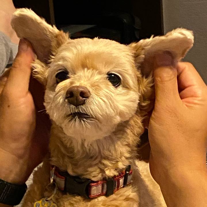 6a76e72a edd9 4a16 b7e2 cf92e4a6466d 1657186619538