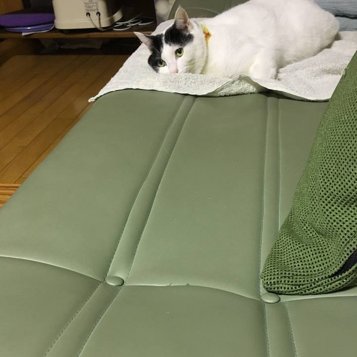 6a76f02f e31c 4b0c bce4 b319589db582 1507981425238