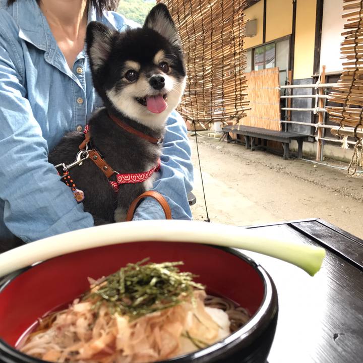 6a771d15 bd03 4d97 847e ad951bd7c719 1573643518494