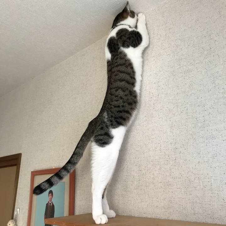 6a774341 8d6f 4f33 9722 464ec3986df1 1549000354512