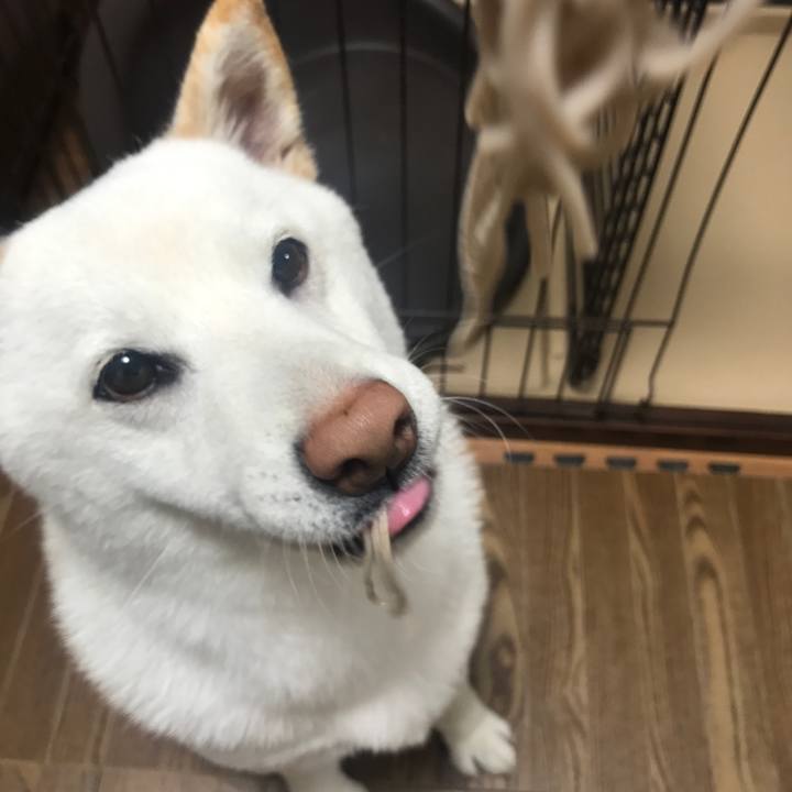 6a777b0d 1c5e 4f3f be1d 25dca302e767 1515056810001