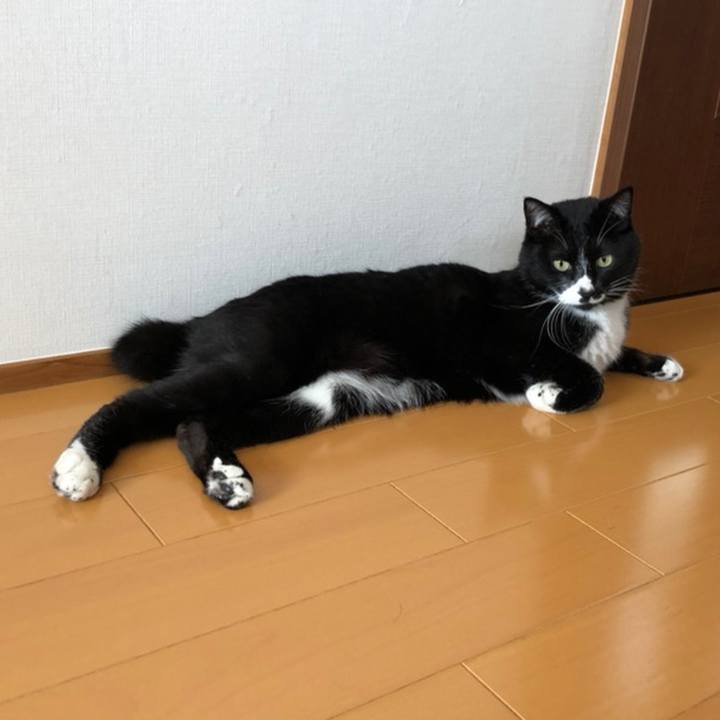 6a7796b2 e159 4844 a025 584a6e1d5d4a 1558323499065