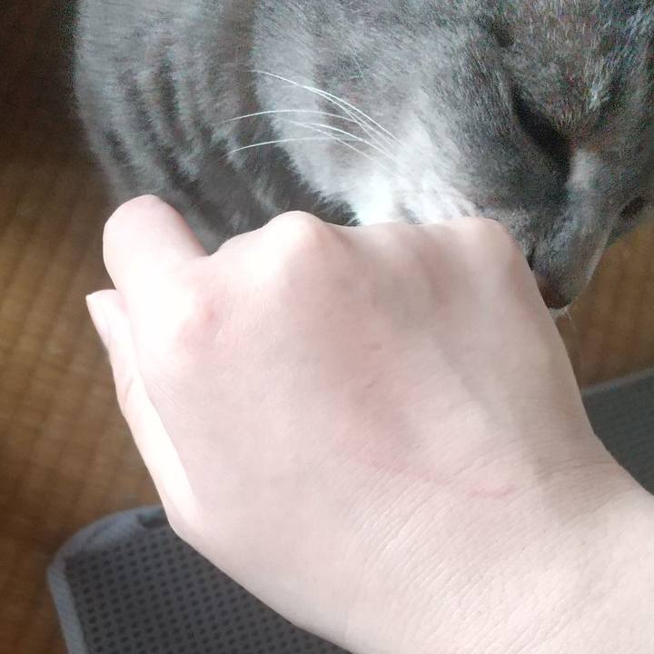 6a77b1e4 ef3b 4fb1 ac44 e5b320dcdaae 1654745983292