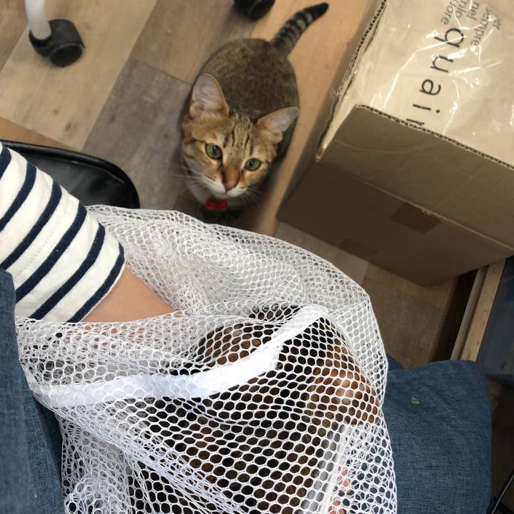 6a78268b 65c5 4a91 b9ef 153f22afa866 1657699217100