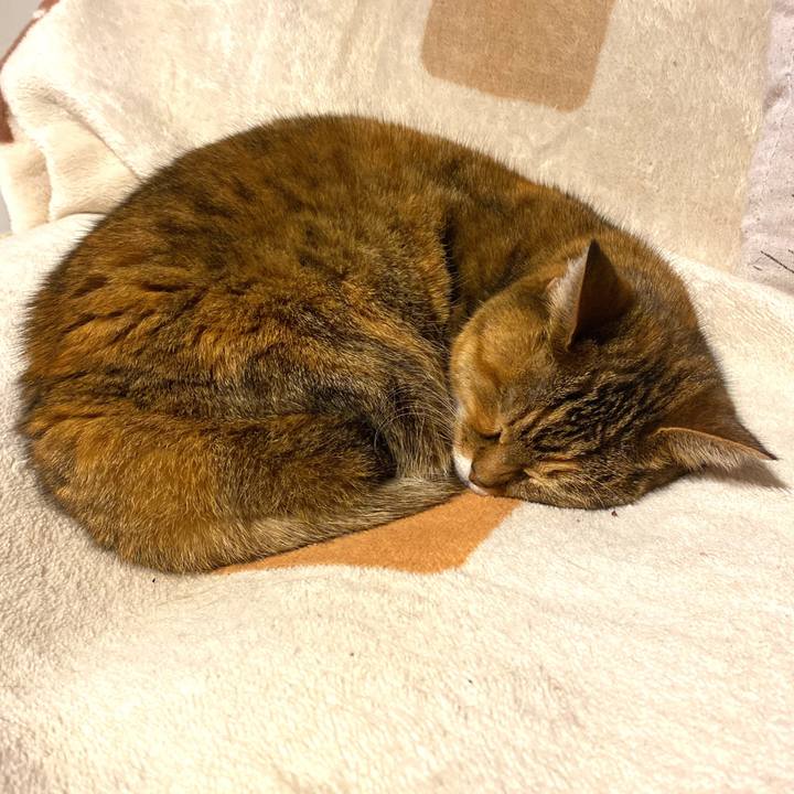 6a782d54 4346 4710 9932 c42c9a0f8a45 1677975015556