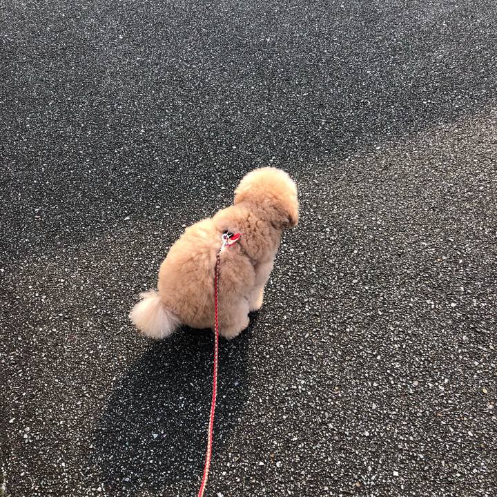 6a784c80 17bc 4a12 a685 9ac8f4246bb8 1510910119922