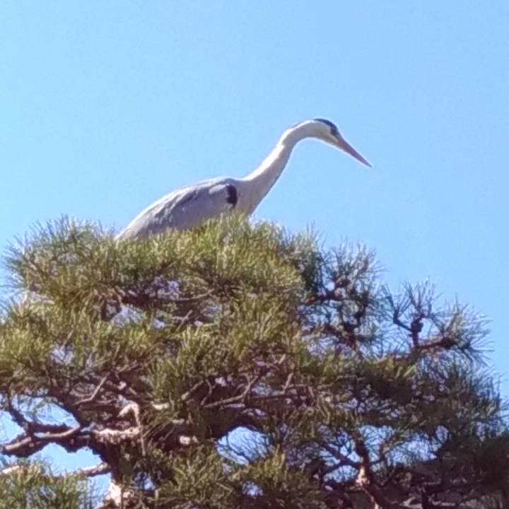 6a785b39 26cc 40c8 bc46 9dd618559c9c 1555148563847