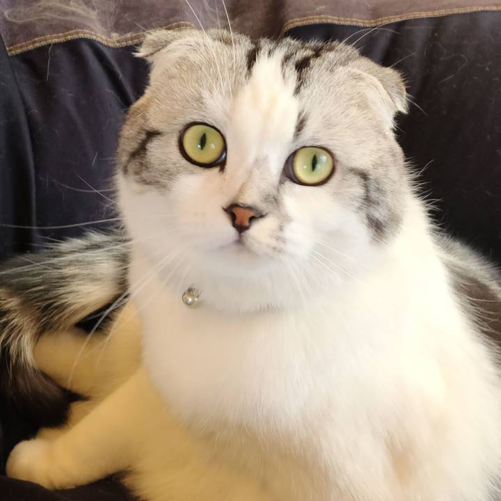 6a78adc8 d4b0 46b4 8d75 e3cea27806cb 1677036244796